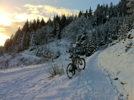 Snow at Glentress