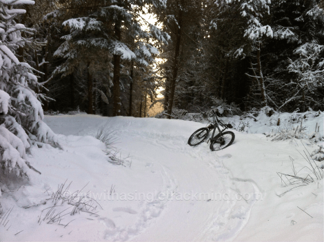 Boarder cross or singletrack?!