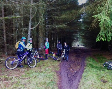 Learning the roots on Alistair Lees trail