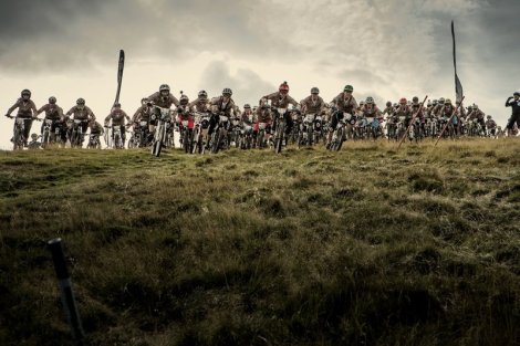 Red Bull Foxhunt
