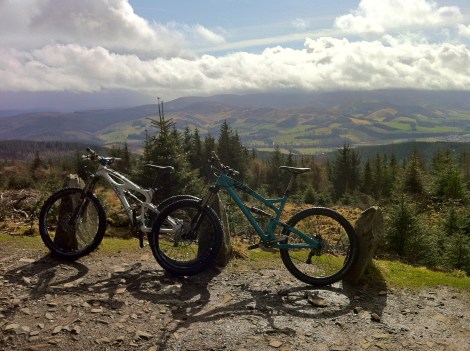 Top of Spooky Wood