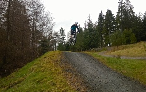 Glentress jumps