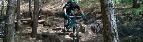 Singe Noir, Cannock Chase