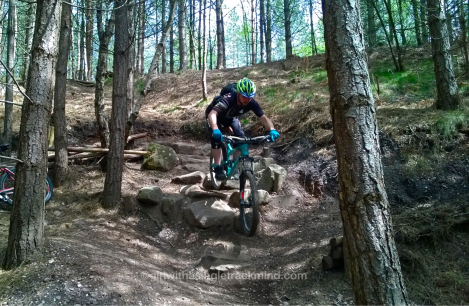 Singe Noir, Cannock Chase