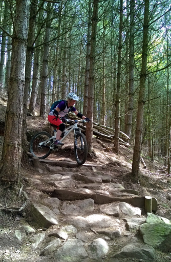 Rock garden at Cannock Chase