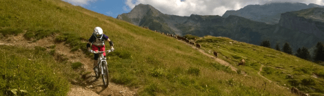 Mountain biking in the Alps