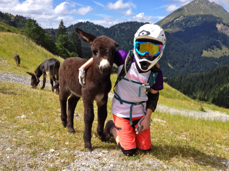 Making friends with the locals in Châtel