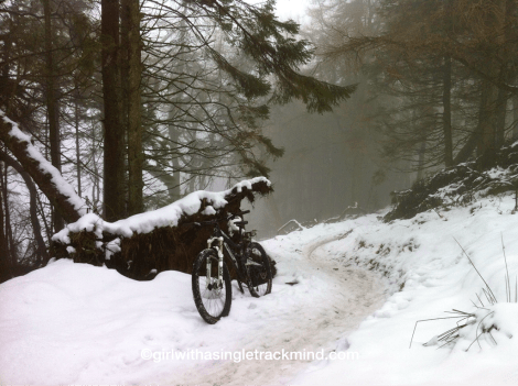 Glentress in the snow