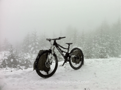 Spookywood in mist and snow