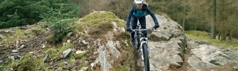 The North Face Trail, Grizedale