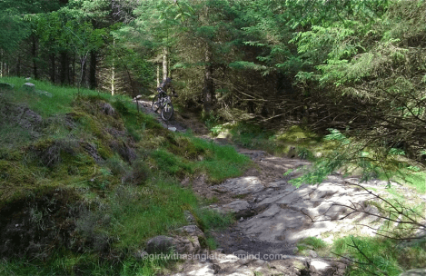 Hissing Sid, Kirroughtree Hissing Sid, Kirroughtree