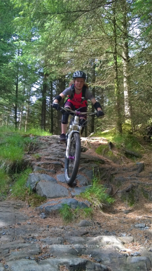 Hissing Sid, Kirroughtree Hissing Sid, Kirroughtree