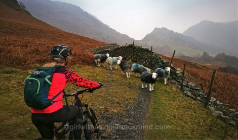 Making friends on the Borrowdale Bash