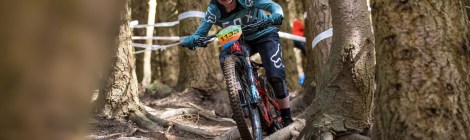 Tweedlove Vallelujah 2019